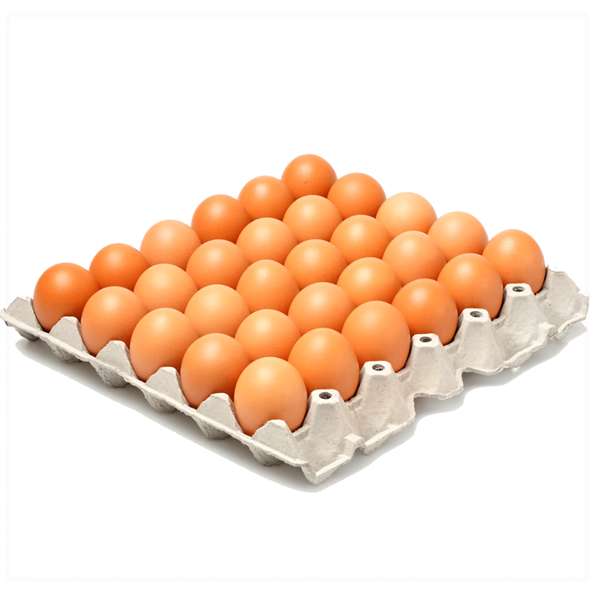 Cartón De Huevos